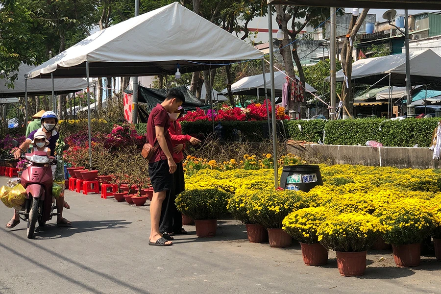 Năm nay kinh tế khó khăn, người dân thắt chặt chi tiêu nên nhà vườn đem lên TP.HCM chủ yếu là hoa, cây kiểng có giá bình dân. Ảnh: QUANG HUY