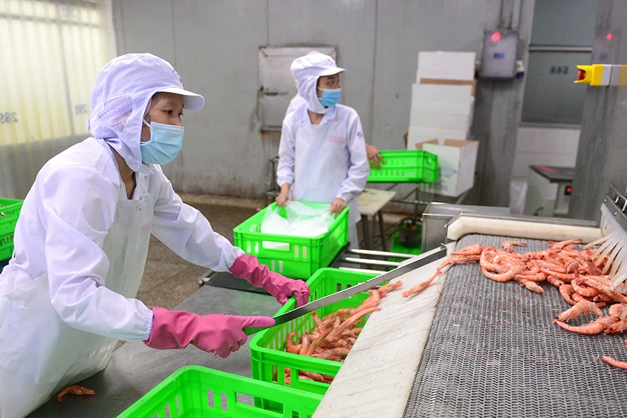 Dự thảo Luật BHXH (sửa đổi) có nhiều chính sách mới lần đầu được nghiên cứu đưa vào. Ảnh minh họa: HOÀNG GIANG