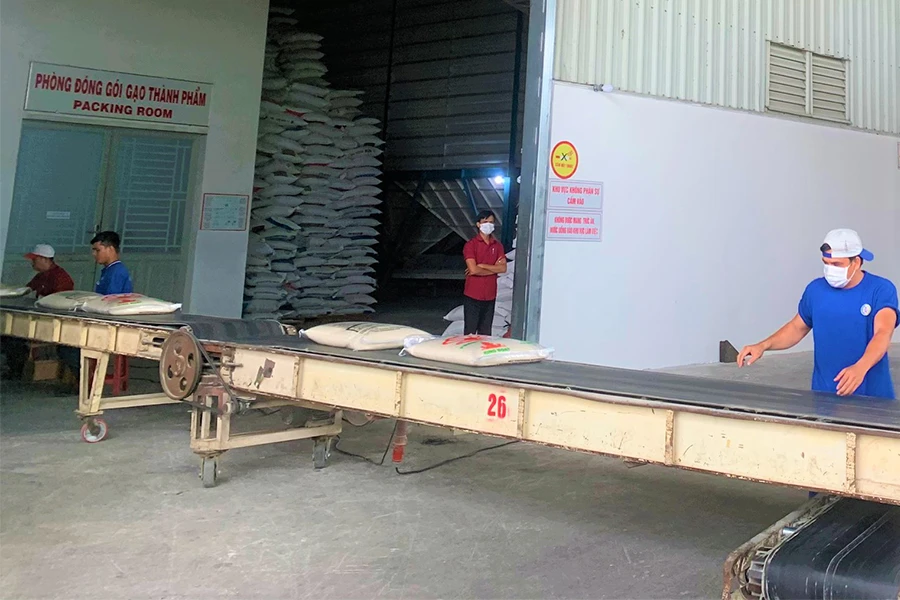 Gạo Việt Nam luôn nằm trong tốp đầu về sản lượng xuất khẩu. Ảnh: T.UYÊN