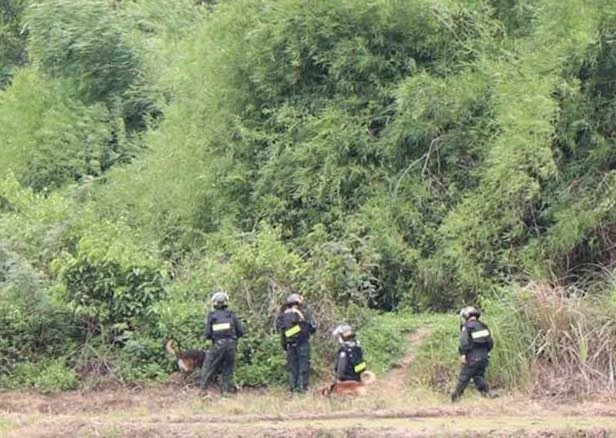 Đặc nhiệm đi truy bắt các đối tượng tấn công trụ sở xã ở Đắk Lắk. Ảnh: CAND