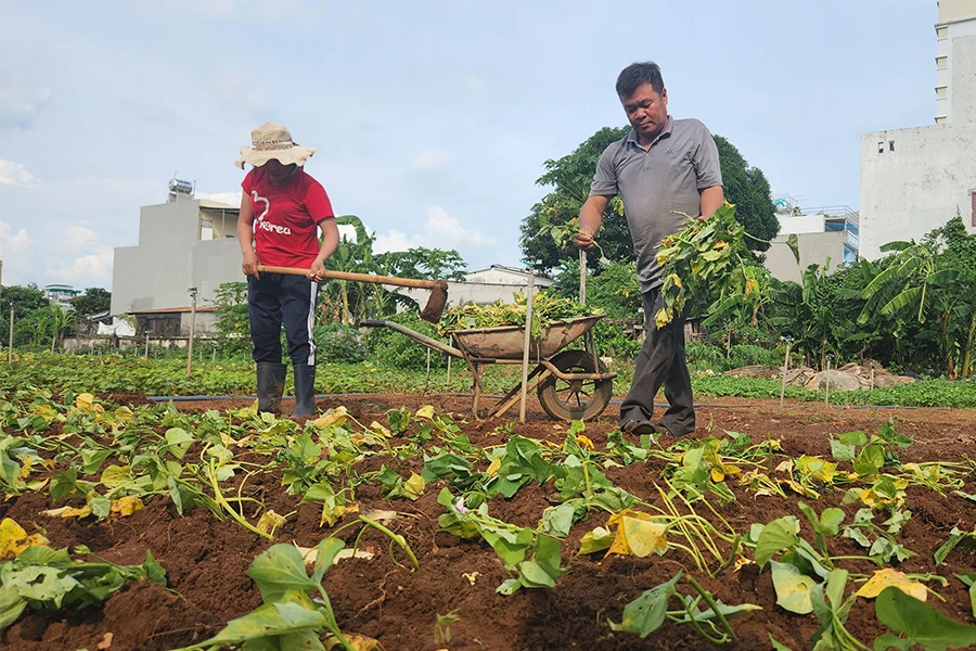 Câu chuyện của vợ chồng anh Hoan tạo thêm niềm tin cho người khuyết tật vượt lên nghịch cảnh, sống có ích. Ảnh: KHÁNH LY
