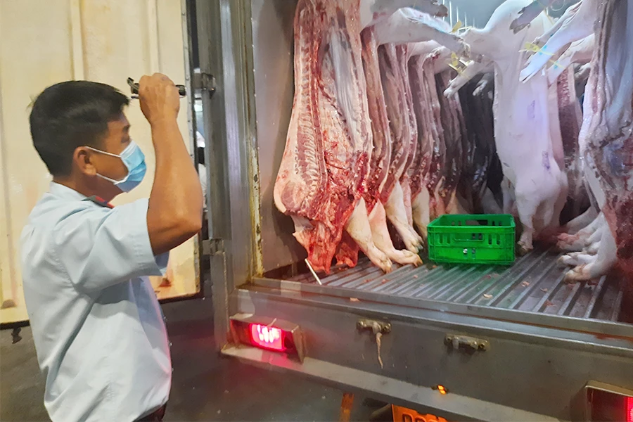 Thịt heo trước khi đưa vào chợ đầu mối Hóc Môn kinh doanh được Ban quản lý An toàn thực phẩm TP.HCM kiểm tra. Ảnh: TRẦN NGỌC