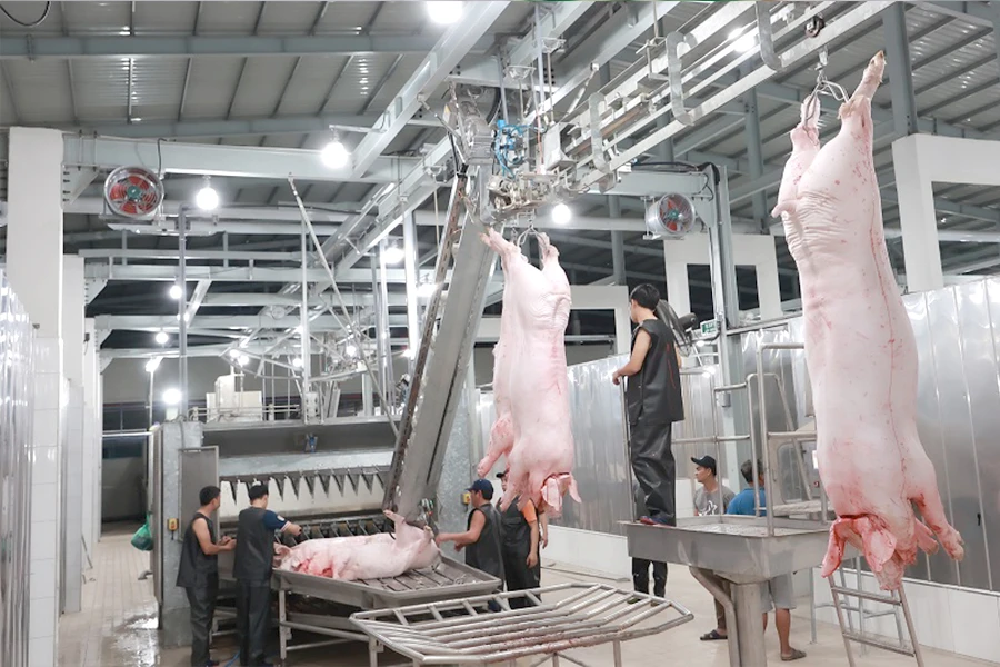 Hiện mỗi ngày TP.HCM tiêu thụ khoảng 10.000 con heo. Ảnh: T.UYÊN