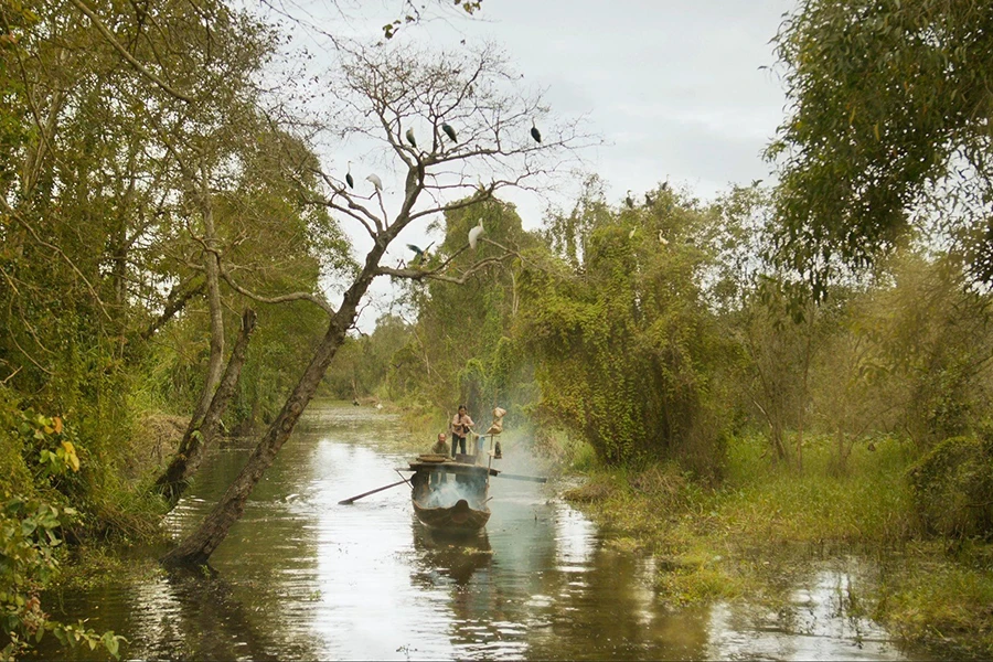 w-P13-dat rung phuong nam.jpg