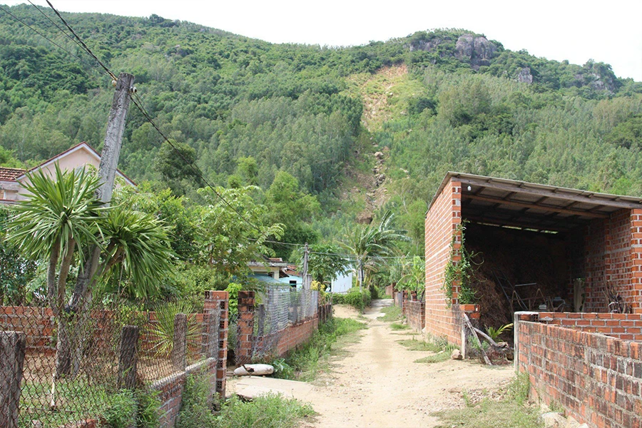 w-P14-sat lo nui cam 1.jpg