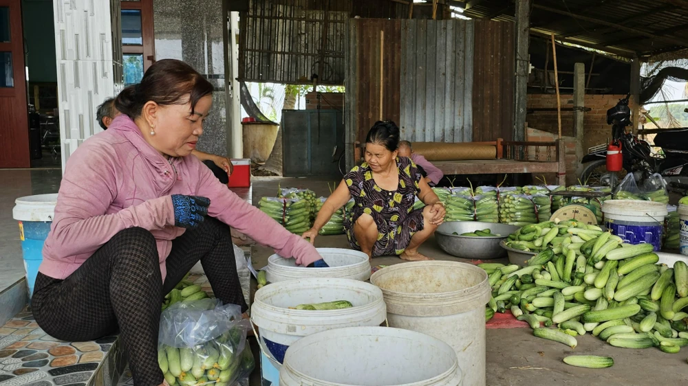 đốt rác phát điện- hình 2.jpg