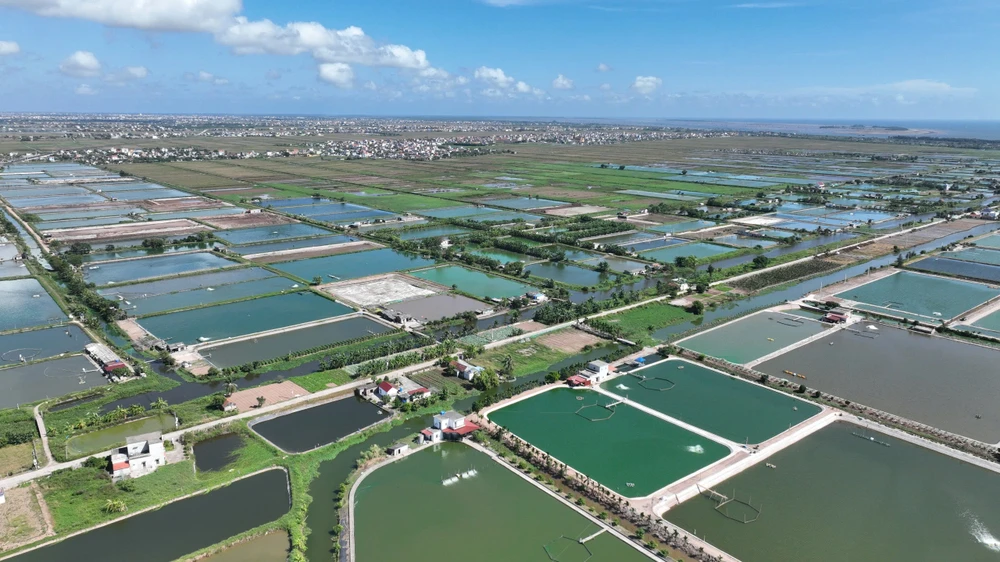 P1011_Chan trang_h1.JPG