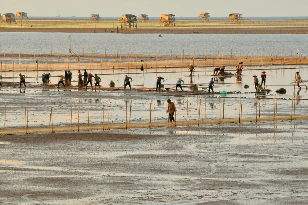 Ngư dân Nam Định