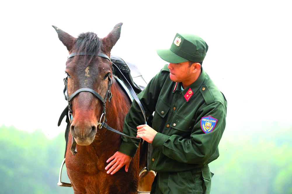 Người chiến sĩ và chiến mã luôn có một sợi dây gắn kết vô hình. Ảnh: HẢI ANH