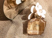 Chọn mùi nước hoa, chuyện không phải ai cũng 'tỏ tường'