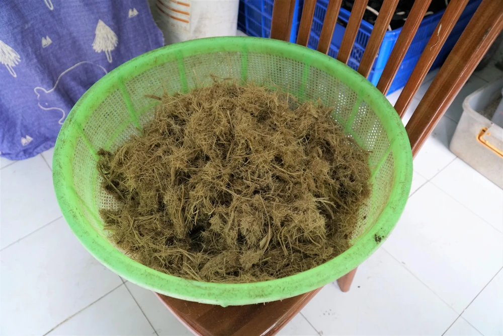 Chất thải sau khi rửa sạch, loại bỏ tạp chất sẽ còn phần xơ sạch để dùng làm giấy. Chất thải sau khi rửa sạch, loại bỏ tạp chất sẽ còn phần xơ sạch để dùng làm giấy.