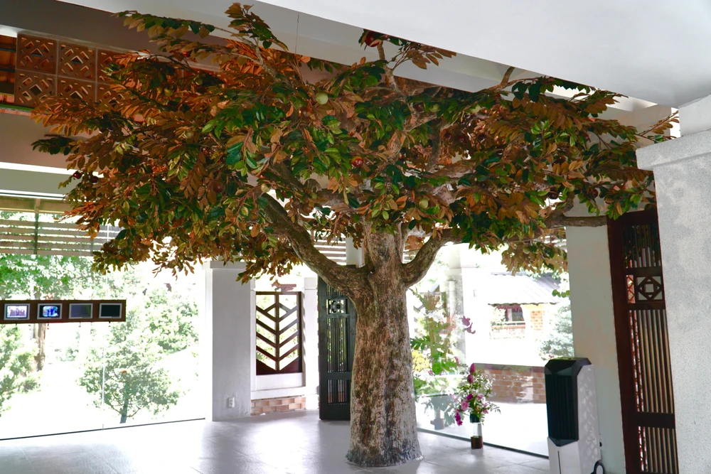 Điều đặc biệt tại triển lãm là cây vú sữa được những người nghệ nhân, những kĩ sư làm suốt trong vòng 2 tháng. Bà Thảo cho biết thêm đây là một hình ảnh gợi mở. "Nhà trưng bày mang 7 chủ đề riêng biệt về cuộc đời của Thủ tướng Võ Văn Kiệt và ở đoạn cuối cuộc đời ông là hình ảnh cây vú sữa có trái già, trái non, có lá xanh, lá vàng, rễ cây, thân cây với ý nghĩa nếu như ai yêu quý ông và cuộc đời ông thì hãy bước tiếp con đường mà ông đã chọn", Trưởng Ban Quản lý Khu tưởng niệm Thủ tướng Chính phủ Võ Văn Kiệt chia sẻ. Ảnh: BẢO PHƯƠNG