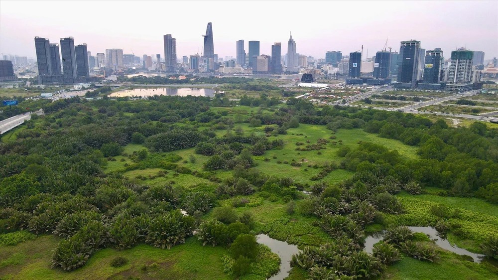Hiện tại, Khu đô thị Thủ Thiêm vẫn còn hơn nửa diện tích là đầm lầy, kênh rạch và rừng rậm, chưa được khai phá hay xây dựng. Ảnh: BẢO PHƯƠNG
