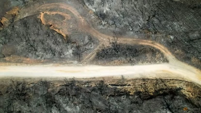 Một phần đất đai làng Avantas ở vùng Evros, Hy Lạp trơ trụi sau cháy rừng ngày 28-8. Ảnh: REUTERS Một phần đất đai làng Avantas ở vùng Evros, Hy Lạp trơ trụi sau cháy rừng ngày 28-8. Ảnh: REUTERS