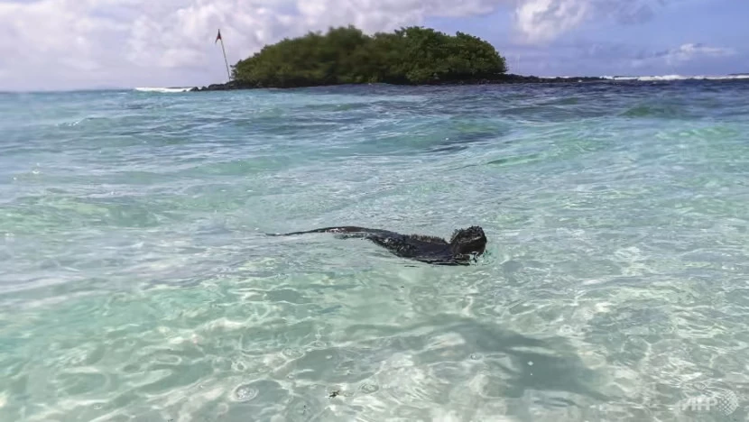 Ecuador là một trong những nơi có khả năng bị El Niño ảnh hưởng nặng nề nhất. Ảnh: AFP