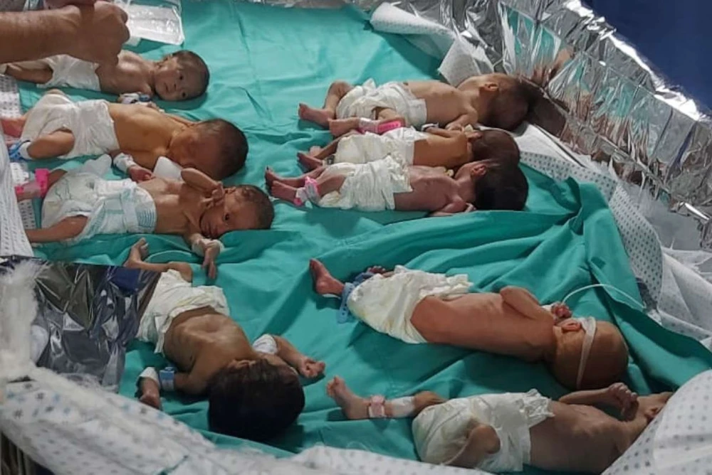 Trẻ sơ sinh ở Gaza