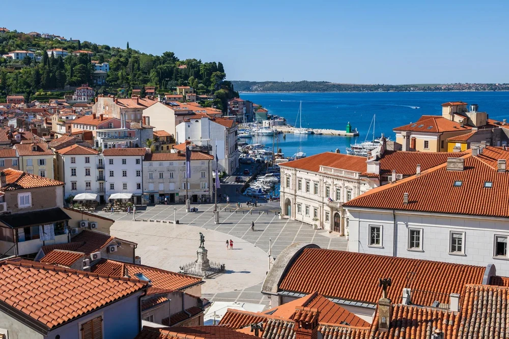 hộ chiếu carbon thời môi trường khủng hoảng