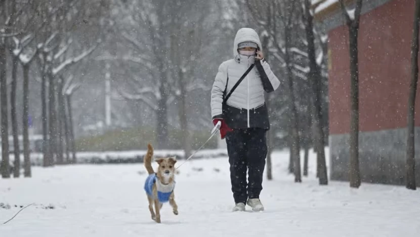 Mùa đông châu Á.png