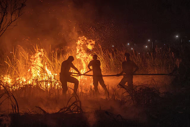 SF6GGUBWLZJ3VDV3VOUWYDINJ4 (1).jpg