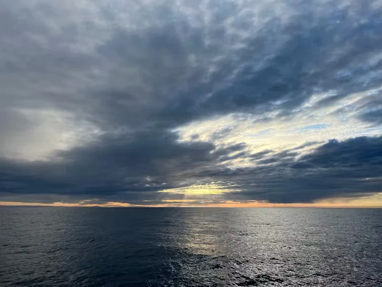 file-20240815-19-fxbnvc (1).jpg