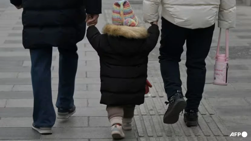 Dân số giảm thì ô nhiễm sẽ giảm?