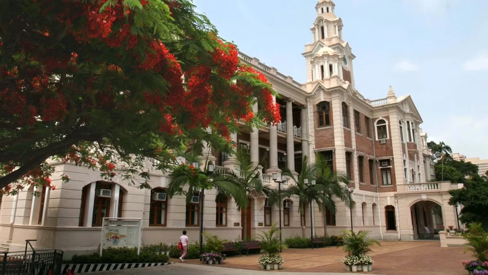 bắt giữ vì bằng cấp giả hong kong.png