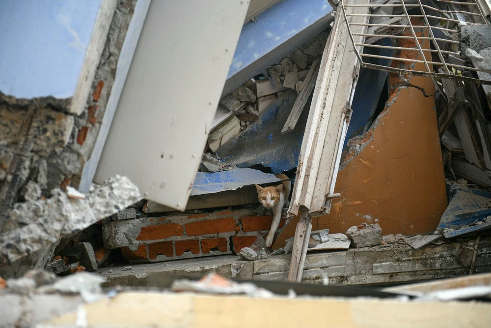 Động đất Myanmar 7.png