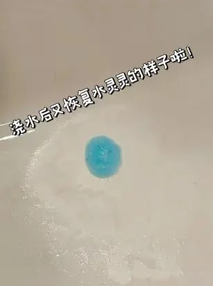 thú cưng kỳ lạ.jpg