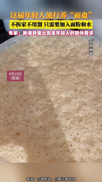 thú cưng kỳ lạ .jpg