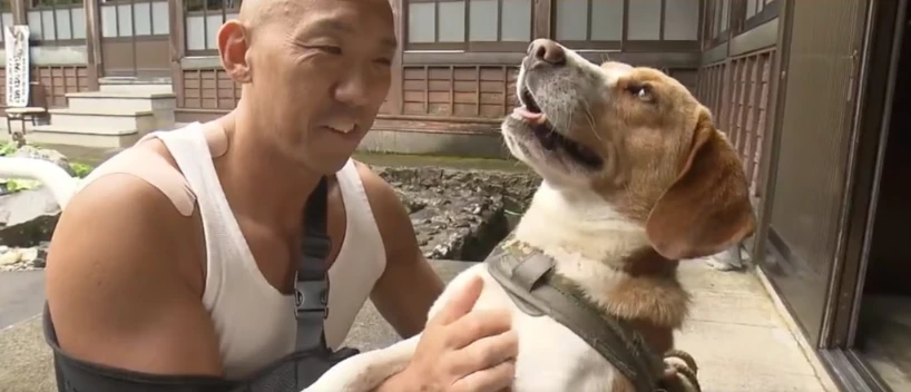 Chú chó cứu nhà sư (3).png