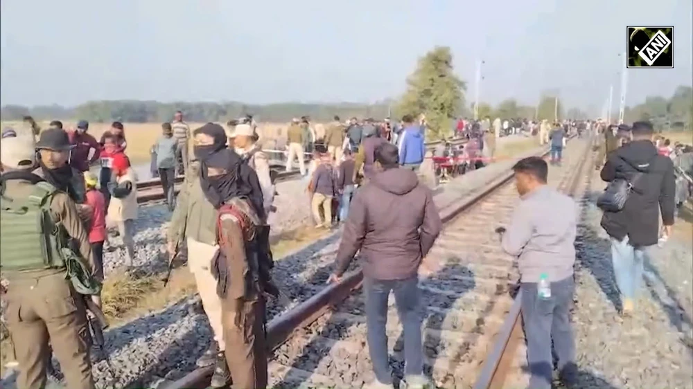 Tai-nan-dan-voi-An-Do.jfif