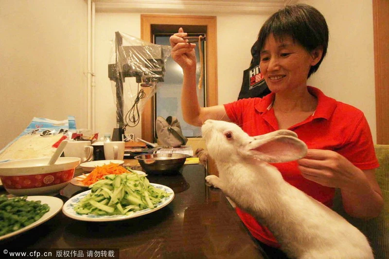 Ngắm 15 con thú cưng 'độc đáo' ảnh 15