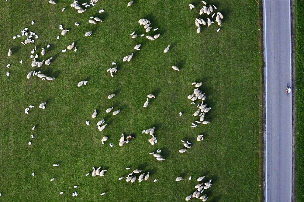 15 sự kiện thế giới tiêu biểu trong tuần (20 đến 26-10) qua ảnh ảnh 15