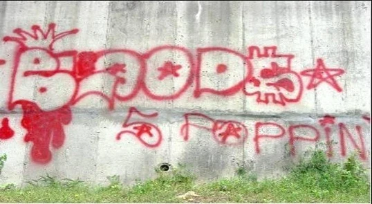 15 băng đảng đường phố 'khét tiếng nhất' ảnh 5