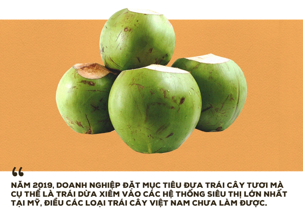 Tâm sự của ‘vua’ xuất khẩu trái cây Nguyễn Đình Tùng ảnh 8