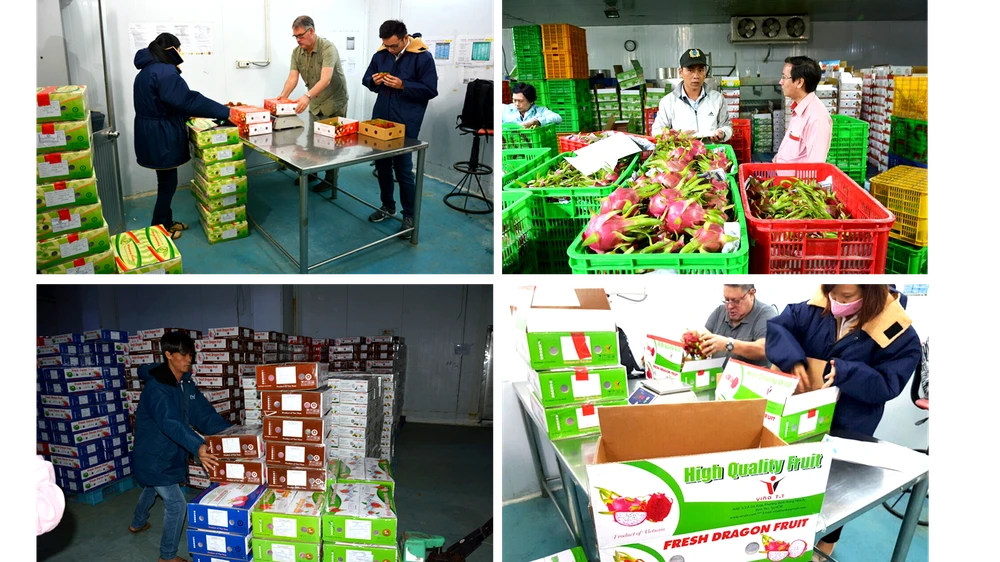 Tâm sự của ‘vua’ xuất khẩu trái cây Nguyễn Đình Tùng ảnh 3