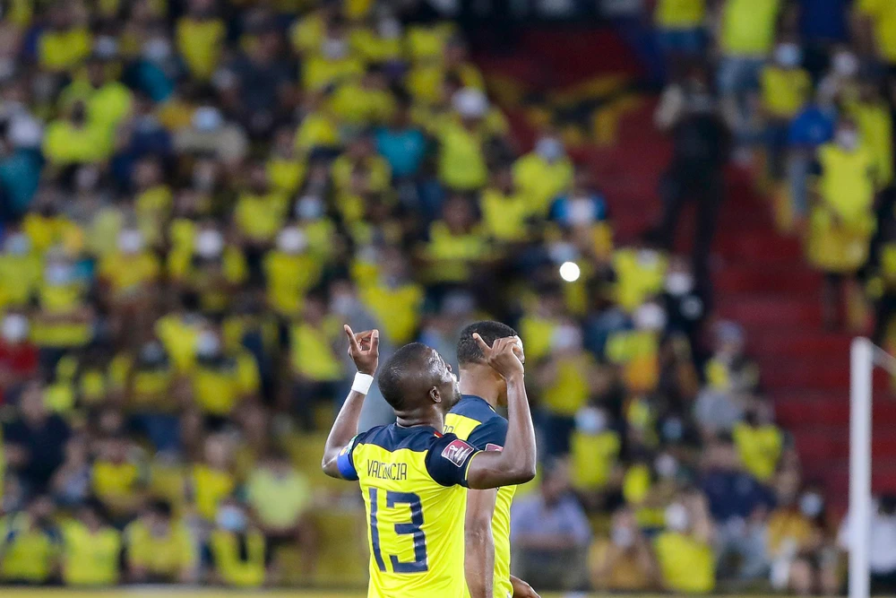 Valencia là niềm hy vọng lớn nhất của Ecuador. Ảnh: GETTY. World Cup