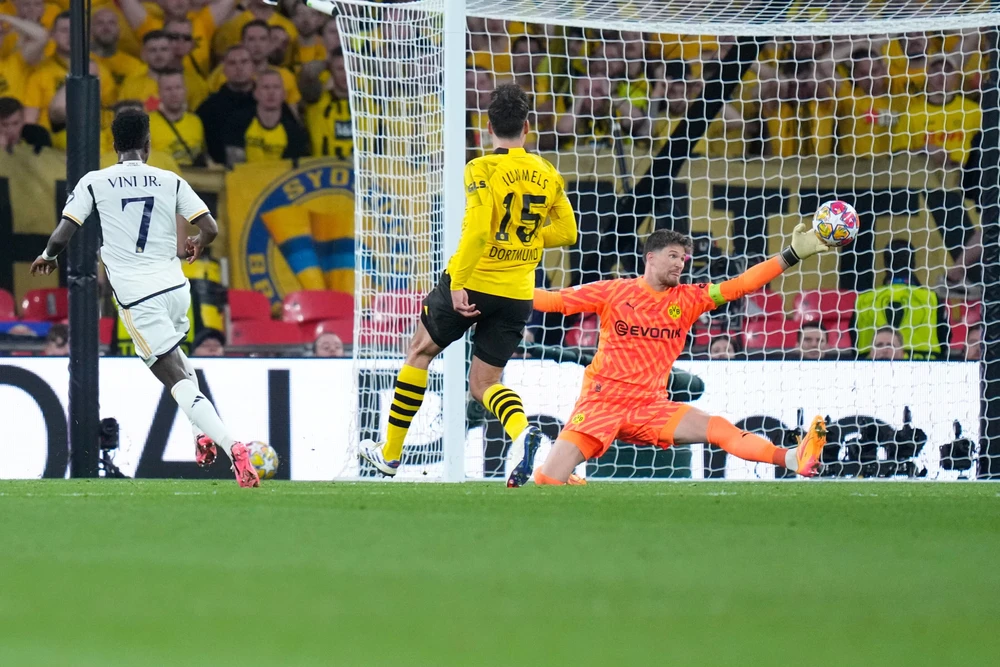 đương kim vô địch