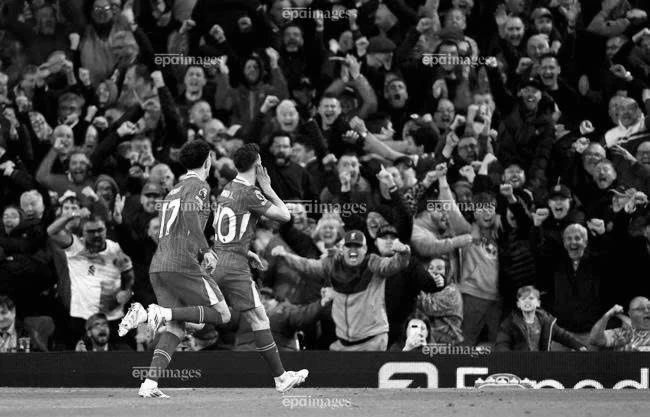 ngôi sao Liverpool Diogo Jota