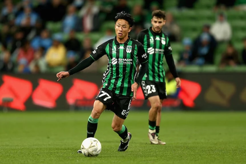 dàn xếp tỉ số