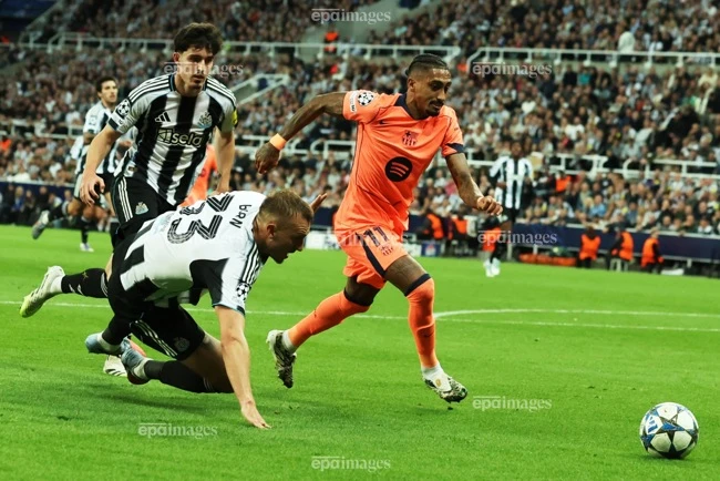 goi-ten-qua-bong-vang (1).jpg