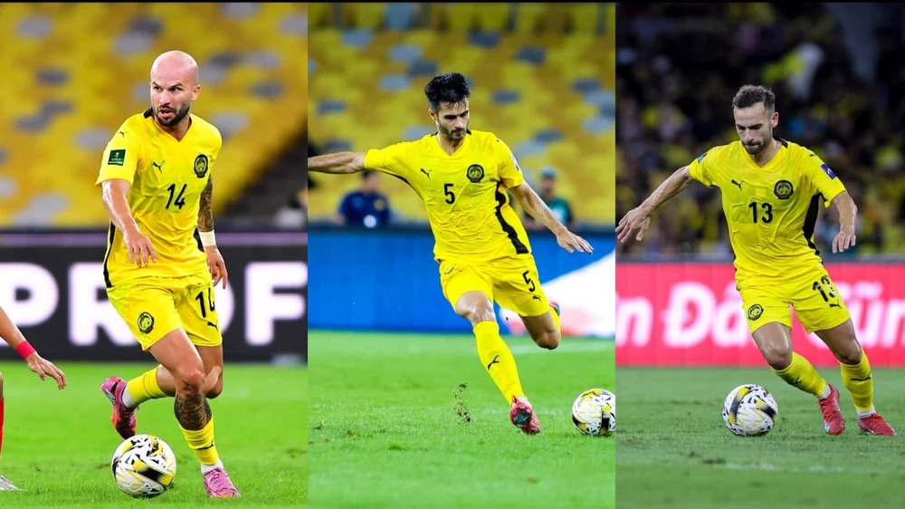 7-ngoai-binh-nhap-tich-malaysia-chinh-thuc-bi-treo-gio (2).jpg