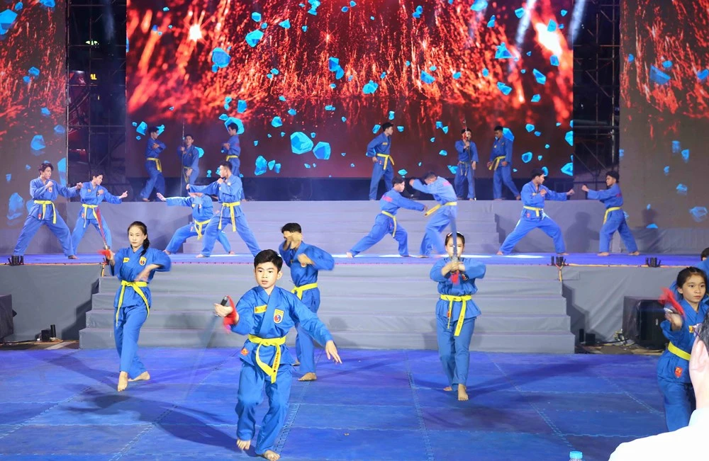 lien-hoan-vo-thuat-quoc-te-tp-hcm-tiep-lua-cho-sea-games-33 (3).jpg