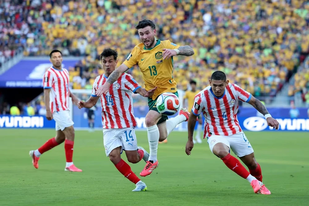 nhat-ban-dung-do-brazil-va-giac-mo-vo-dich-world-cup (6).jpg