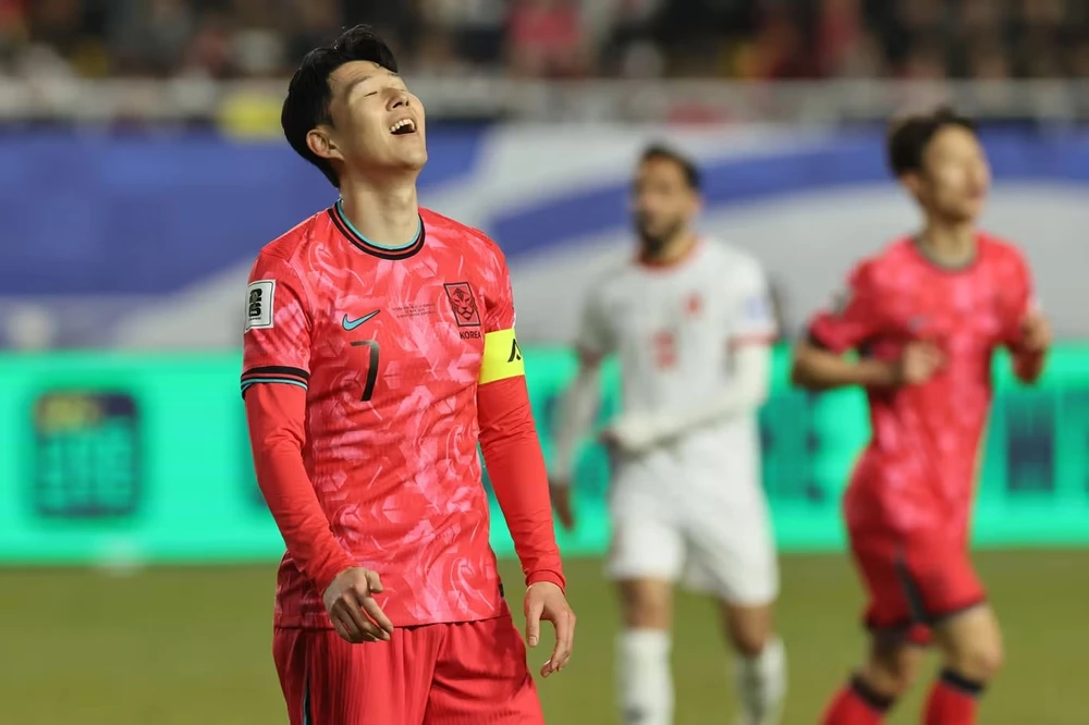 dang-cay-chau-a-o-san-choi-lon-world-cup (1).jpg