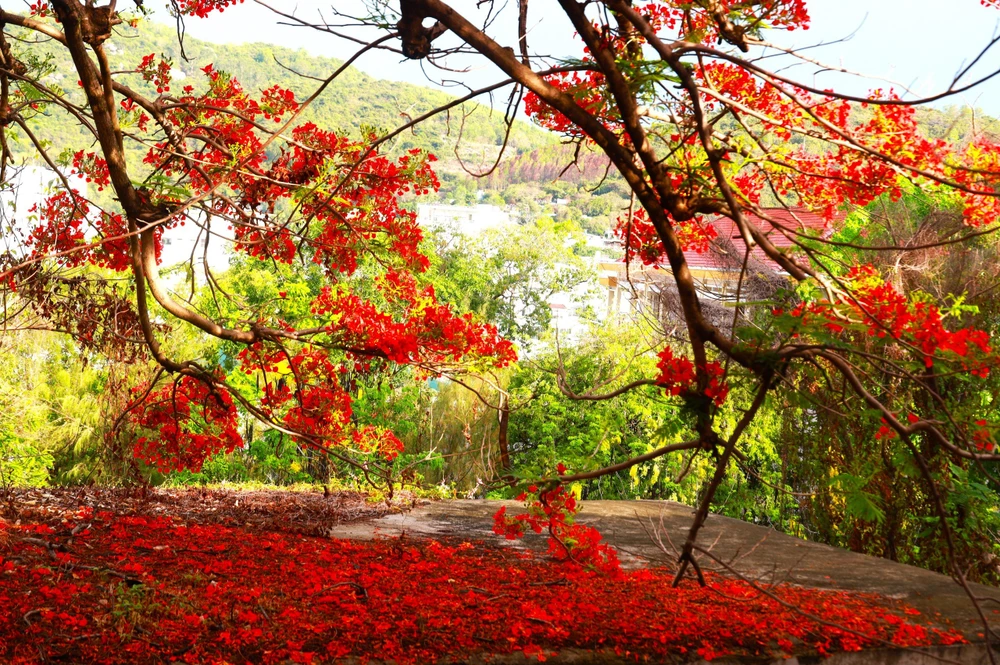 cô-giáo-U70 (15).jpg