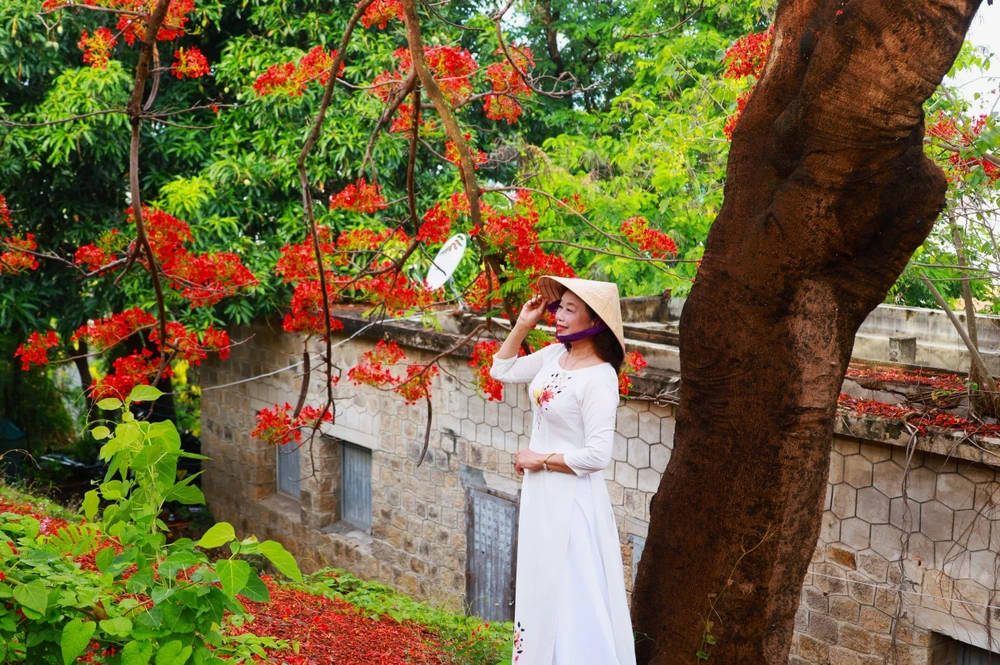 cô-giáo-U70 (17).jpg