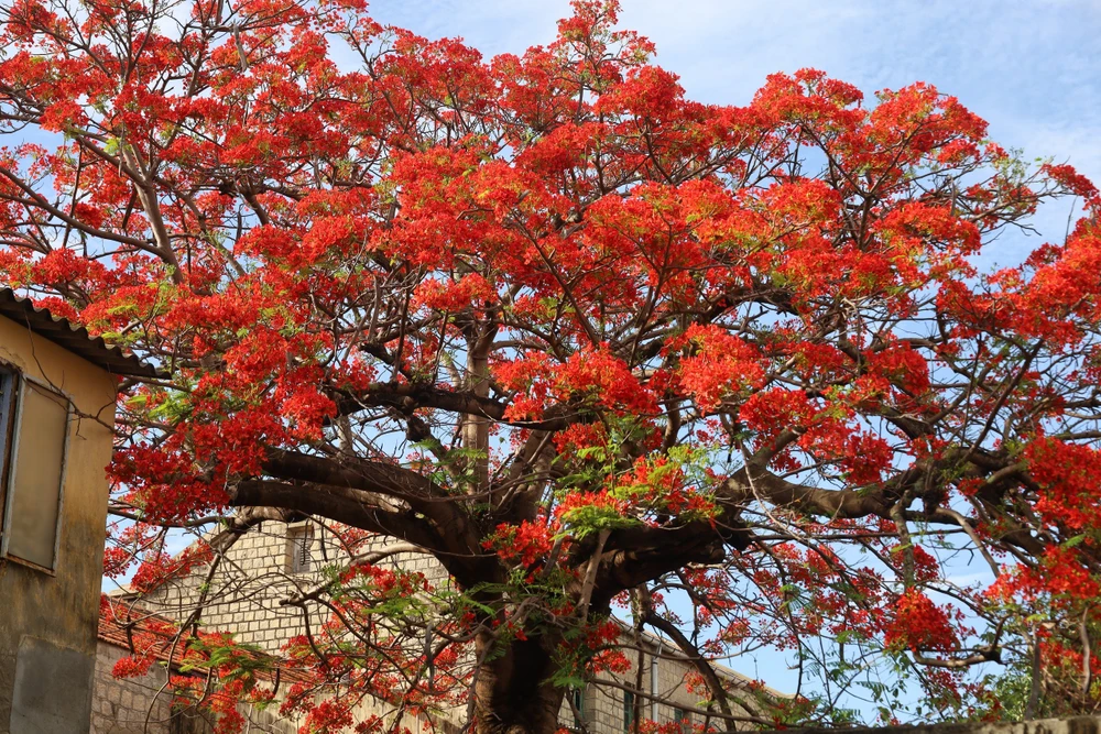 cô-giáo-U70 (18).jpg