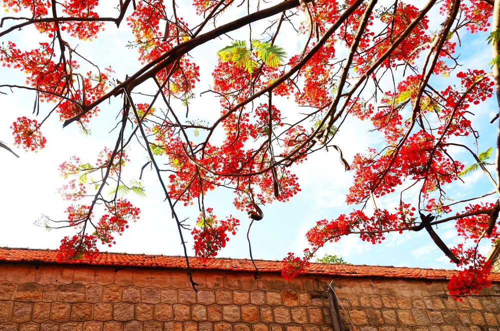 cô-giáo-U70 (19).jpg