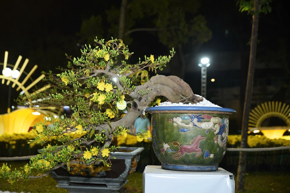 z7529255123534_39d0f755dac7aa4dfdbae942a89afd24-Hội Hoa Xuân TP.HCM 2026.jpg